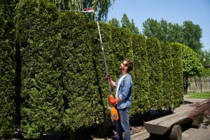 Best Hedge Trimming Services in Elmira, New York