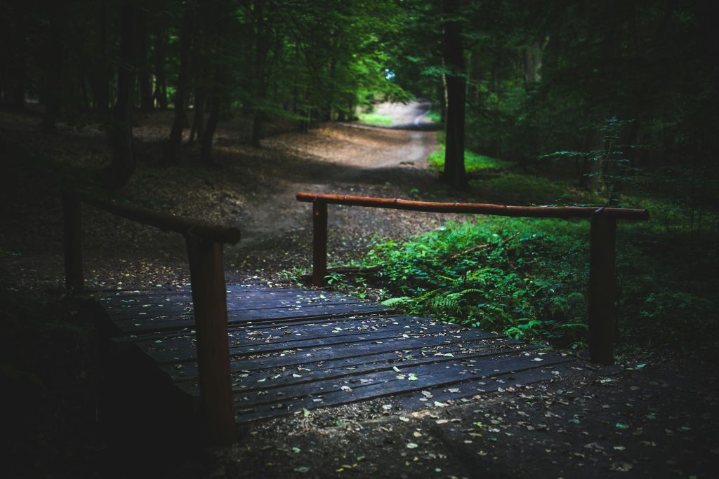Elmira NY Walking Trails in the Village