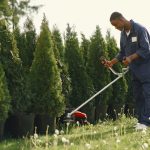 Best Landscapers in Elmira