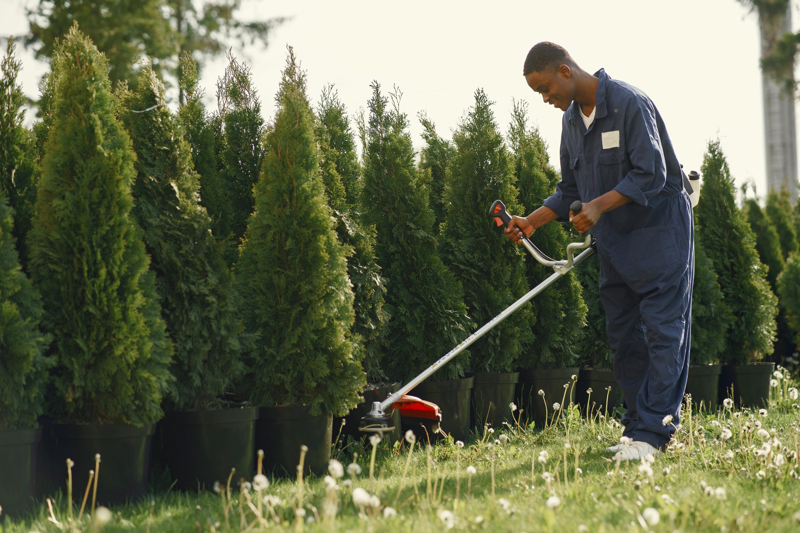 Best Landscapers in Elmira